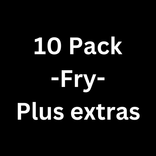 Variatus Platy - Fry Pack